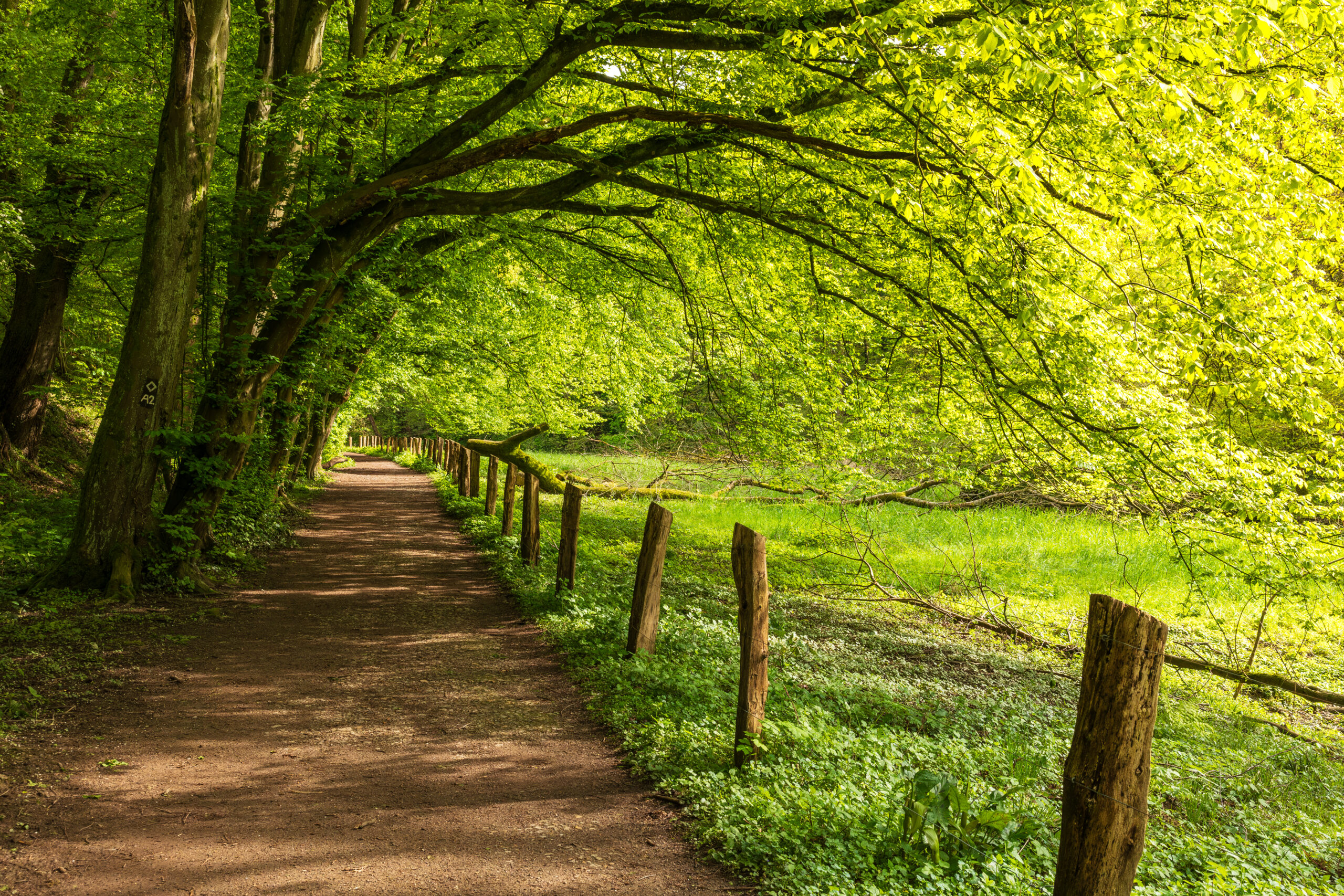 Perfect trail for hiking in summer